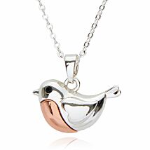 Robins Appear Two Tone Necklace