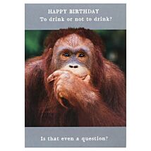 Animal Antics Orangutan ‘Drink Or Not’ Birthday Card