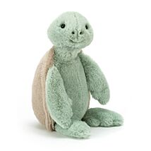 Bashful Turtle Medium