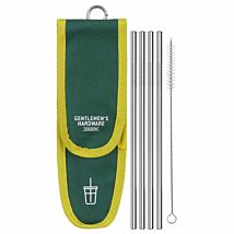 Travel Metal Straw Set 