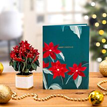 Mini Flora ‘Poinsettia’ Pop-Up Christmas Card