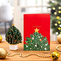 Mini Flora ‘Scots Pine’ Pop-Up Christmas Card