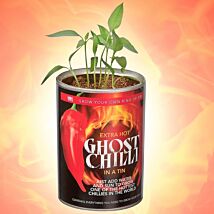 Grow Your Own Ghost Chilli 