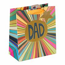 Paper Salad Dad Rays Medium Gift Bag