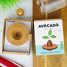 Avocado Grow Kit