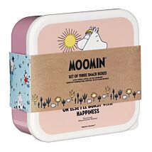 Set of 3 Snack Boxes