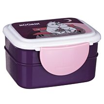 Bento Clip Lock Lunch Box with Cutlery