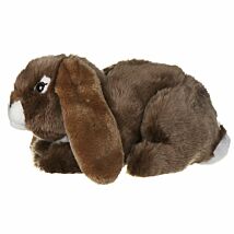 Brown Lop Eared Rabbit