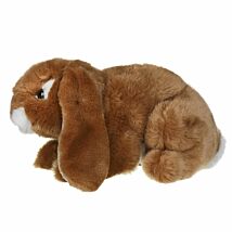 Ginger Lop Eared Rabbit