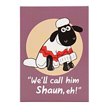 - Shaun Magnet