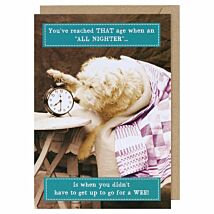 Animal Antics All Nighter Birthday Card