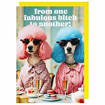 Ark Life Dog From One Fabulous B**** To Another Birthday Card