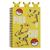 Project Notebook