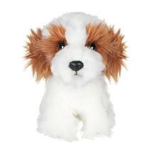 Small Toffee & White Doodle Dog