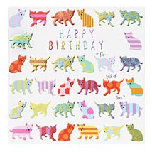 Rainbow Drops ‘Cats’ Birthday Card