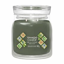 Olive & Cypress Signature Medium Jar Candle