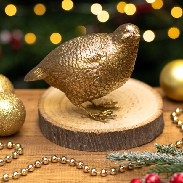 Joules partridge watch store