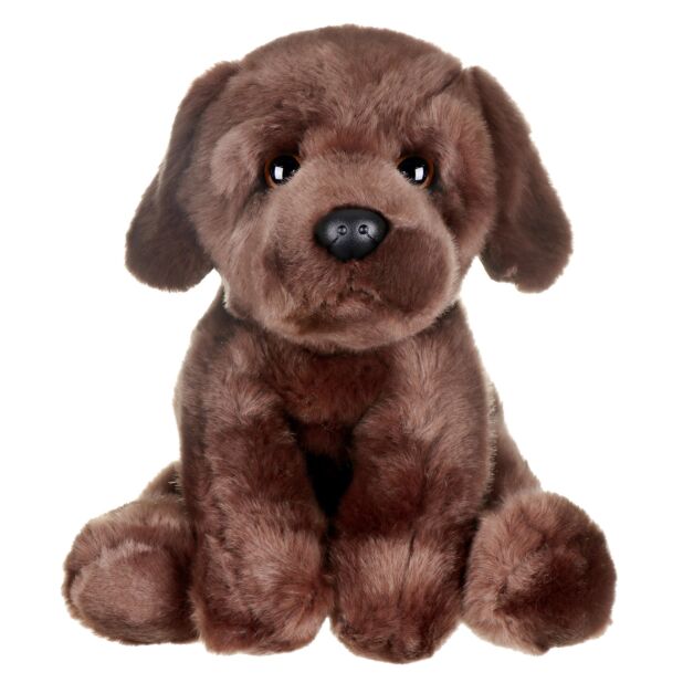 Chocolate lab teddy top