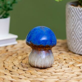 Assorted Magical Buttons Mushroom