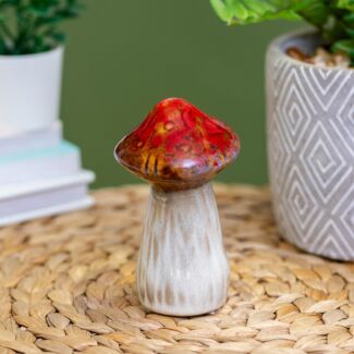 Assorted Magical Tall Mushroom