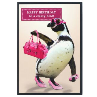 Animal Antics Penguin ‘Classy Bird’ Birthday Card