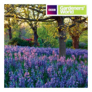Gardeners’ World - Meadow of Camassia Greetings Card