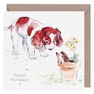 Springer Spaniel & Hedgehog Square Birthday Card