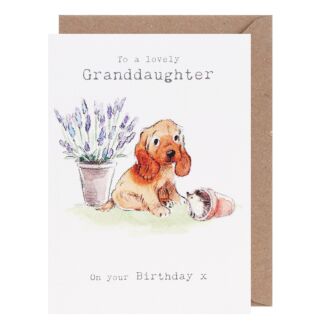 Puppy & Hedgehog ‘Granddaughter’ Birthday Card