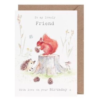 Squirrel with Hedgehog ‘Friend’ Birthday Card