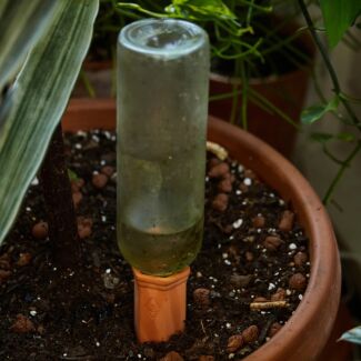 Plant Water Drippers