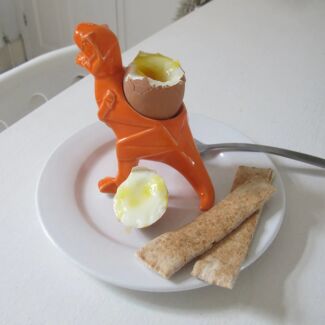 Orange Dinosaur Egg Cup