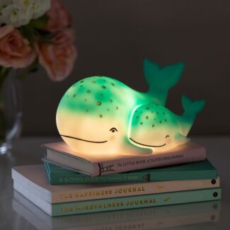 LED Rechargeable Whale and Baby Lamp