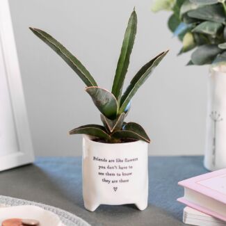 ‘Friends Are Like Flowers’ Planter