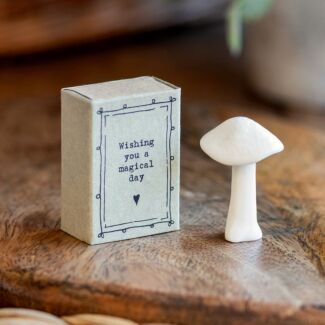 Matchbox Mushroom ‘Magical Day’