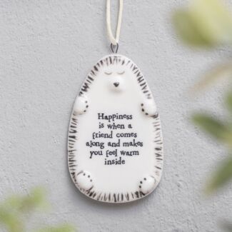 ‘Friend Comes Along’ Hanging Hedgehog Decoration
