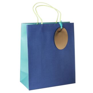 Pure Zest Aquamarine Large Gift Bag
