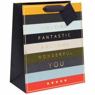 Amazing Fantastic Awesome Stripes Large Gift Bag
