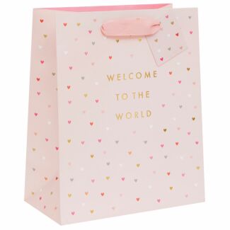 ‘Welcome To The World’ Pink Large Gift Bag