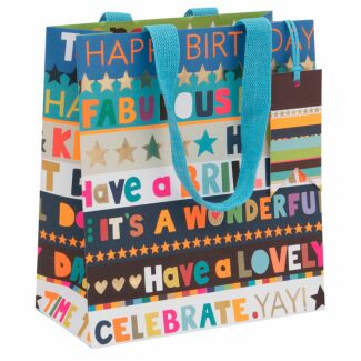 Paper Salad Birthday Blue Stripe Medium Birthday Gift Bag