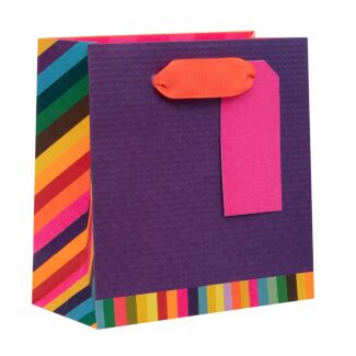 Colour Hub Purple Small Gift Bag