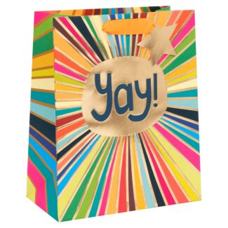 Paper Salad Yay Rays Large Gift Bag