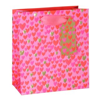 Love Hearts Medium Valentine’s Gift Bag