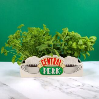 Central Perk Tabletop Planter