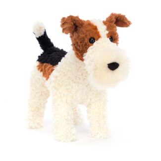 Hector Fox Terrier Dog