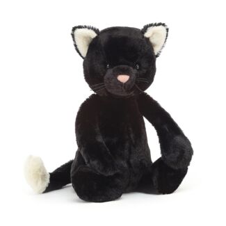 Medium Bashful Black Kitten