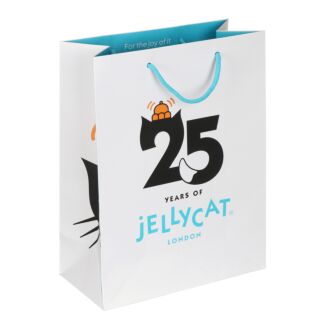 25th Anniversary Small Gift Bag