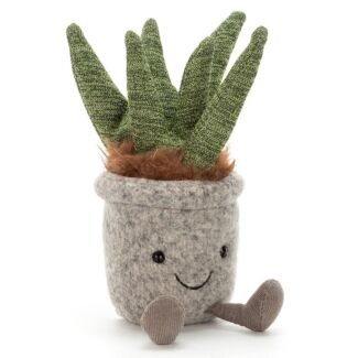 Silly Succulent Aloe