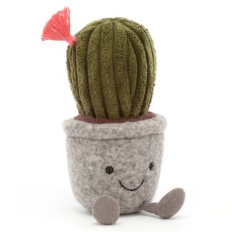 Silly Succulent Barrel Cactus