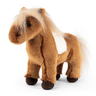 Shetland Pony