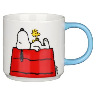 Peanuts Home Sweet Home Boxed Mug